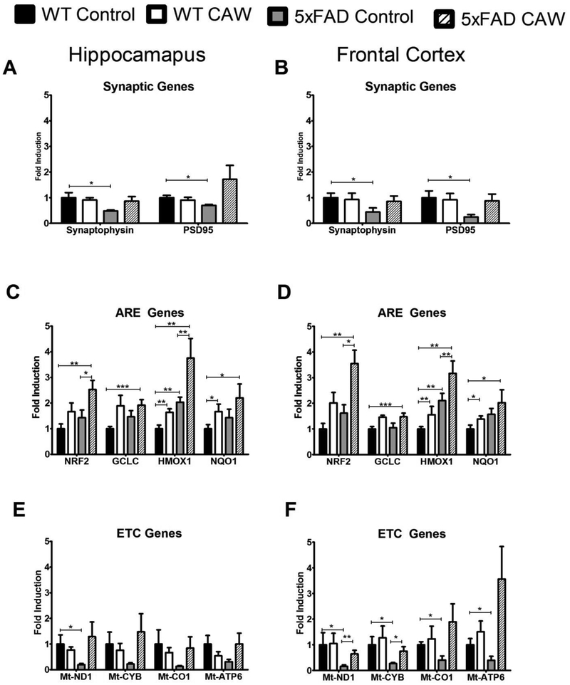 Figure 6: