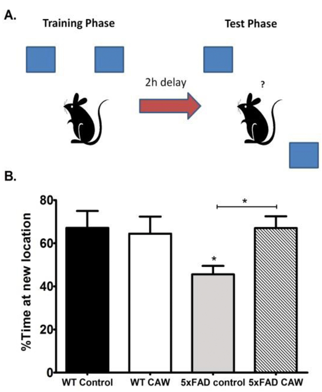 Figure 2: