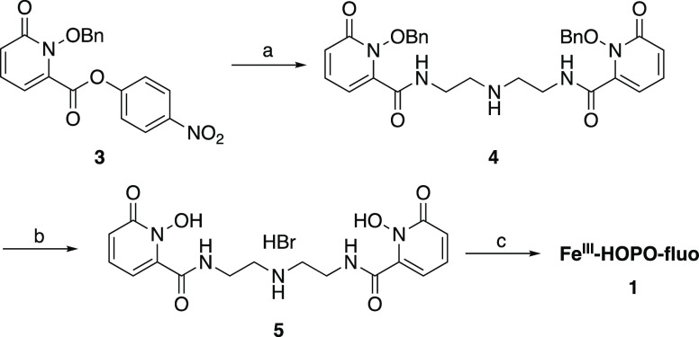 Scheme 1