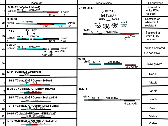 FIG. 2.