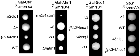 FIG. 5.