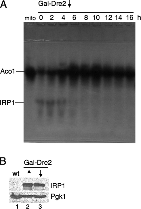 FIG. 8.