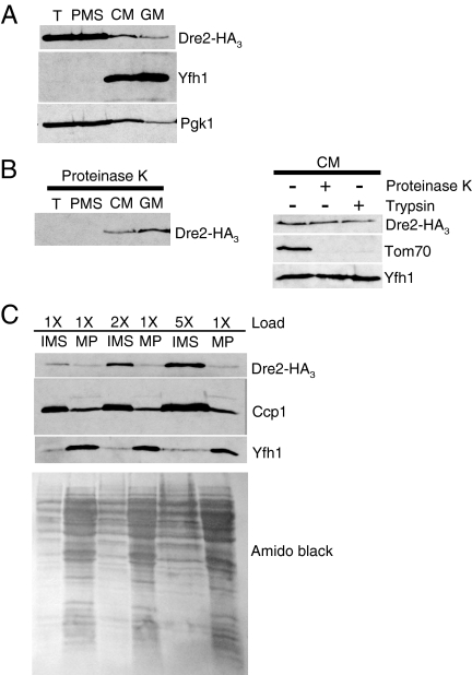 FIG. 11.