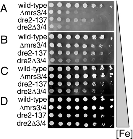 FIG. 6.