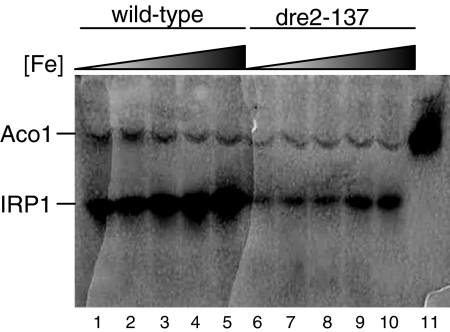 FIG. 7.