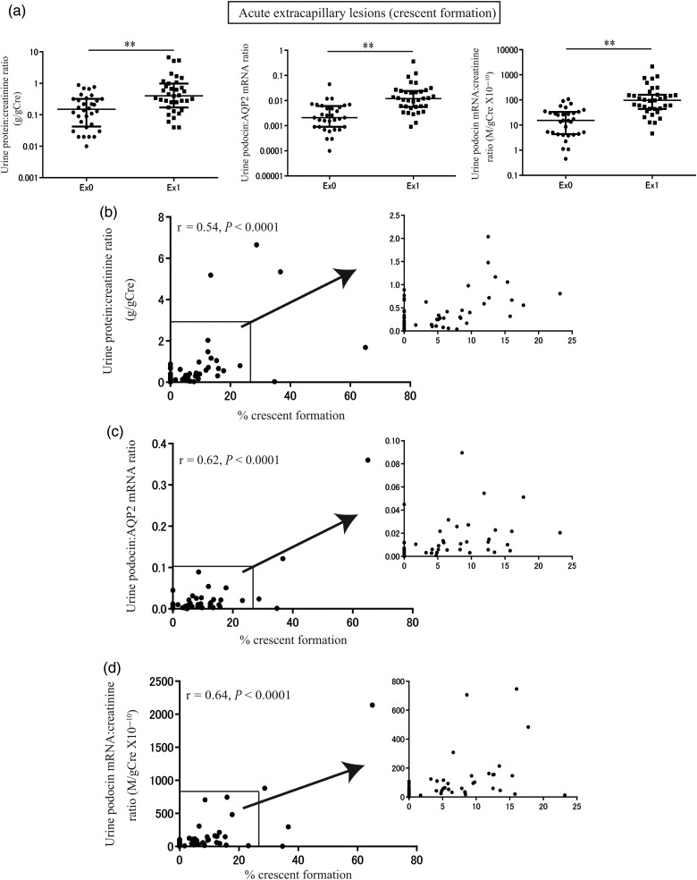 FIGURE 3: