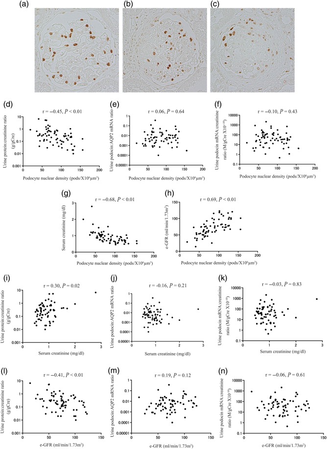 FIGURE 4: