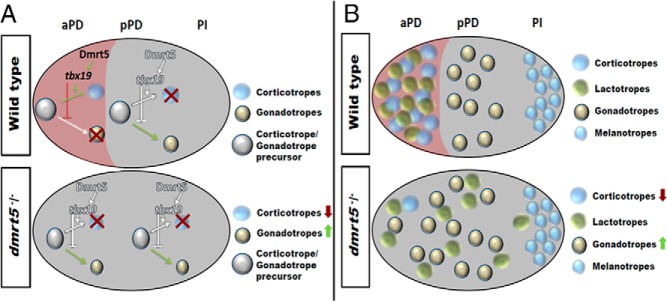 Figure 9.