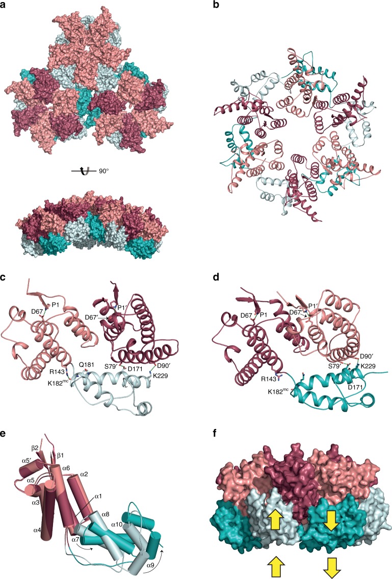 Fig. 6