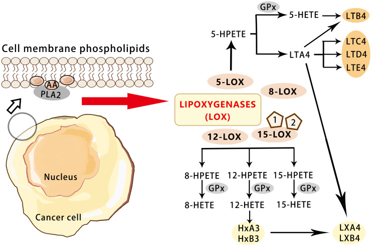 Figure 3