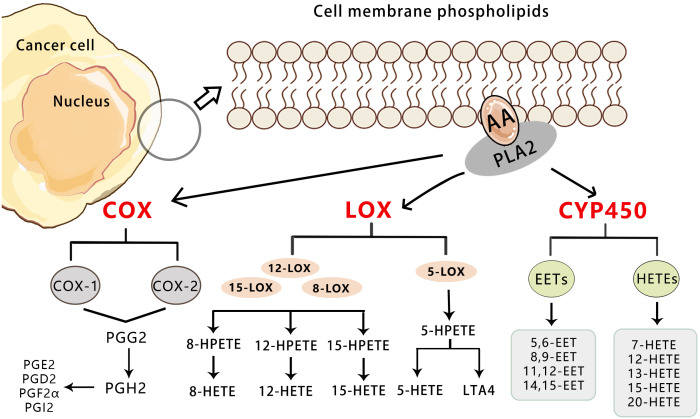 Figure 1