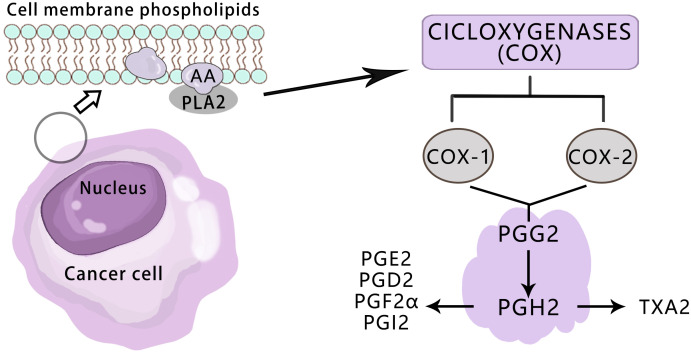 Figure 2