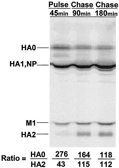 FIG. 4.