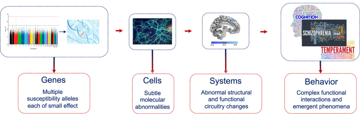 Figure 2: