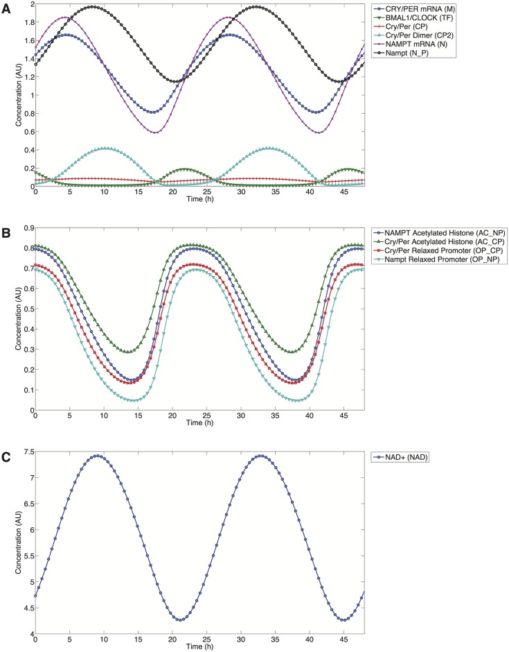 Fig 2