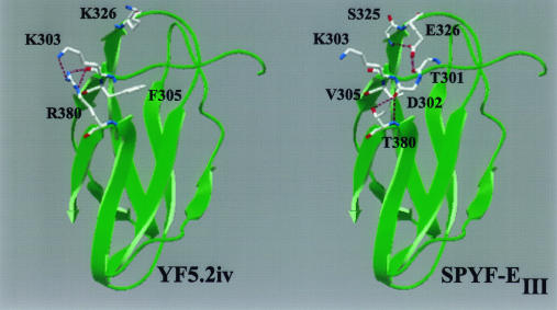 FIG. 7.