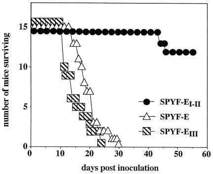 FIG. 5.