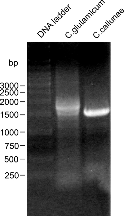 FIG. 9.