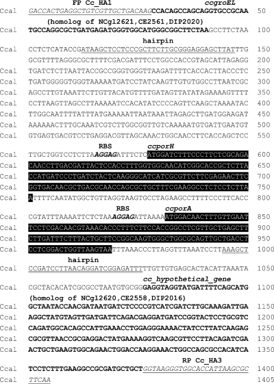 FIG. 10.