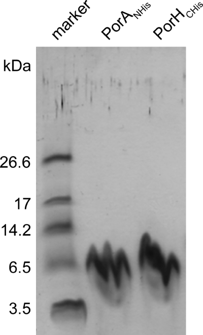 FIG. 5.