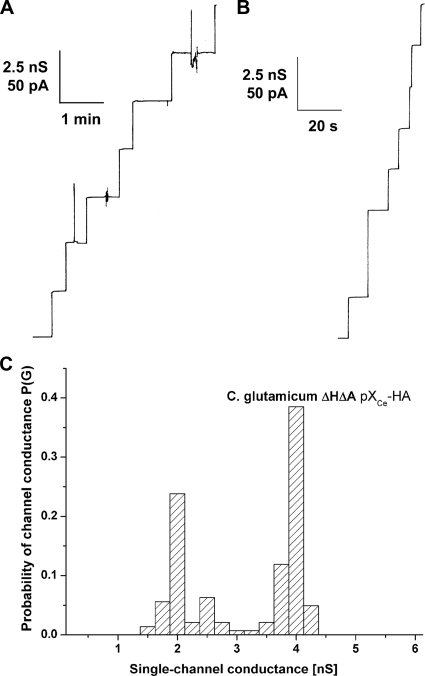 FIG. 7.