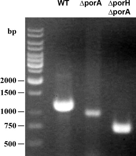 FIG. 11.