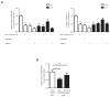 Figure 8—figure supplement 1.