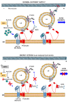 Figure 10.