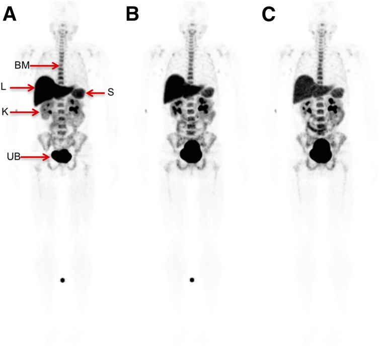 FIGURE 2.