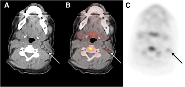 FIGURE 3.