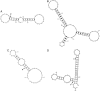 Fig. 3.