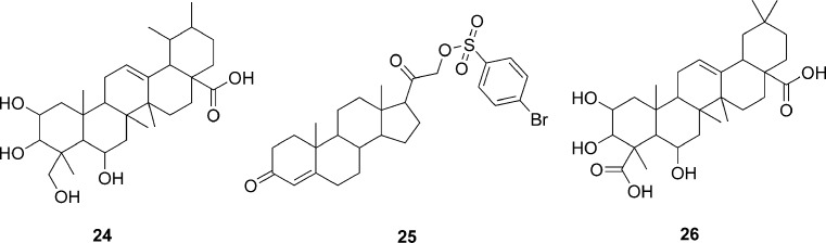 Fig. 8