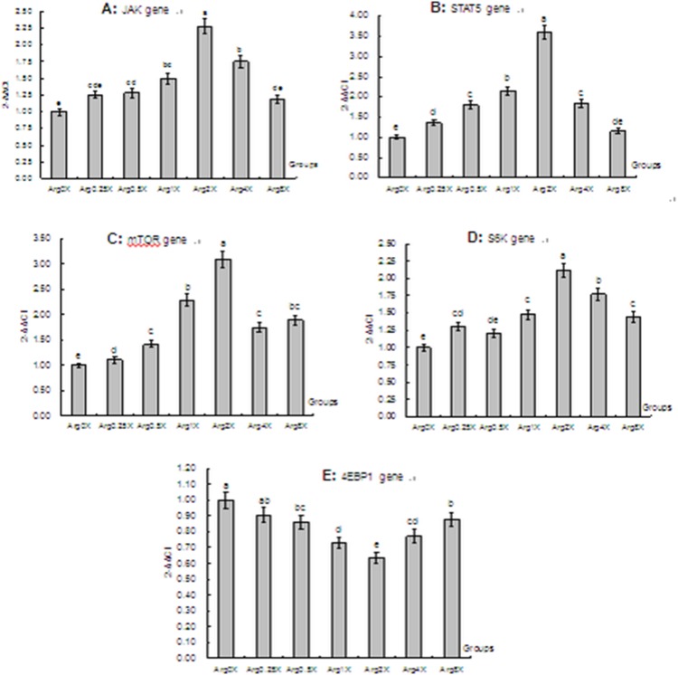 Figure 5