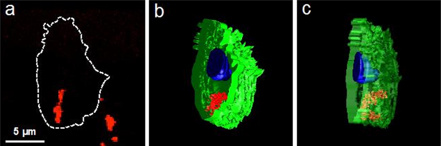 Fig. 3