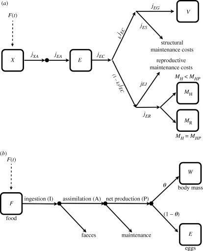 Figure 1.