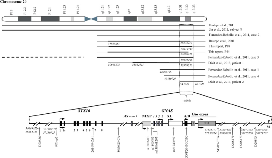 Fig. 1