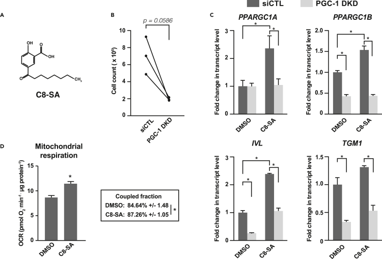 Figure 6