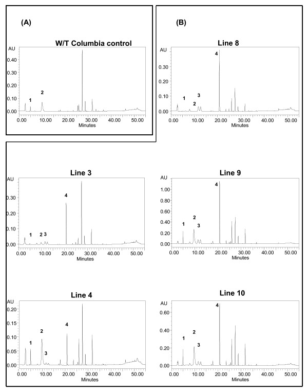 Figure 9