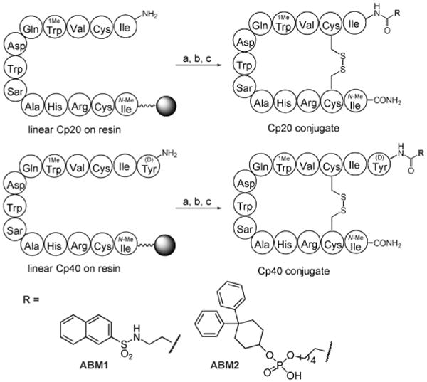 Scheme 1