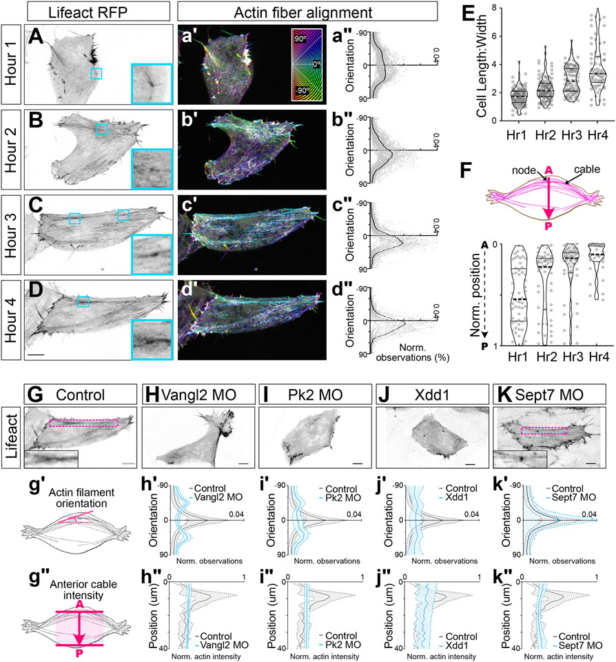 Figure 2: