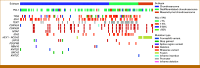 FIG 1.