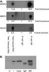 FIG. 4.