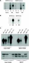 FIG. 8.