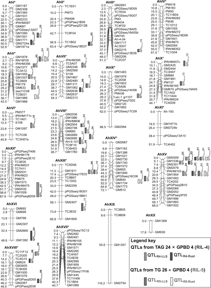 Fig. 2