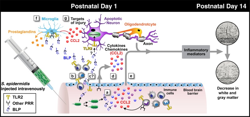 Figure 7.