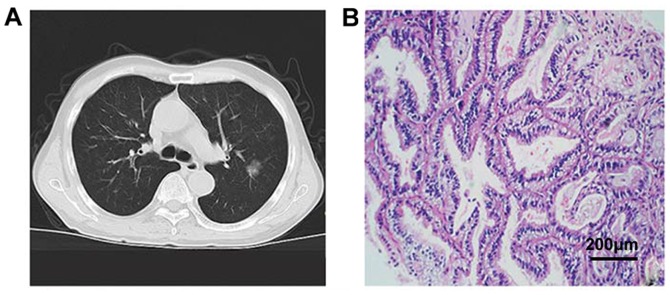 Figure 2.