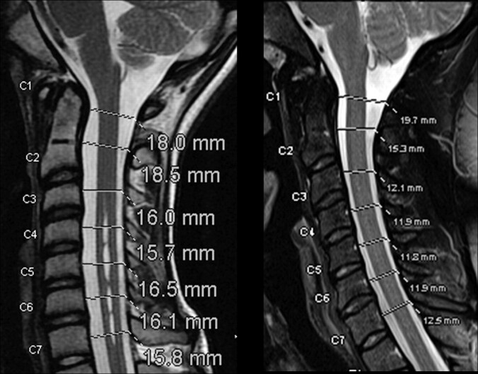 Fig 1.