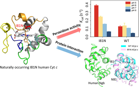 graphic file with name ao2c01256_0010.jpg