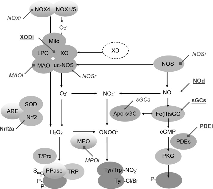 FIG. 1.