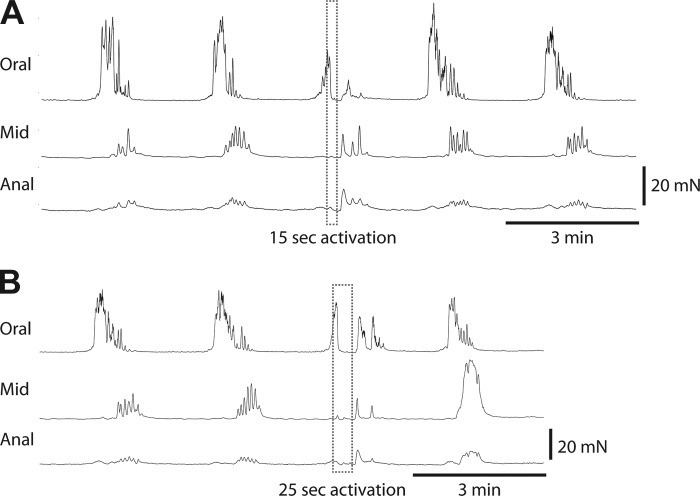 Fig. 10.